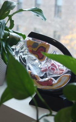 3B8EE7ED-720F-49D8-9CEF-78ACE8C55B7A_1_105_c